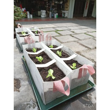 美植袋 移植袋 不織布材質 丁蘭園藝 丁蘭花盆工程材料行