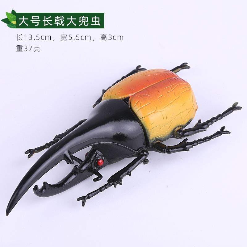 甲蟲標本的價格推薦第13 頁 22年11月 比價比個夠biggo