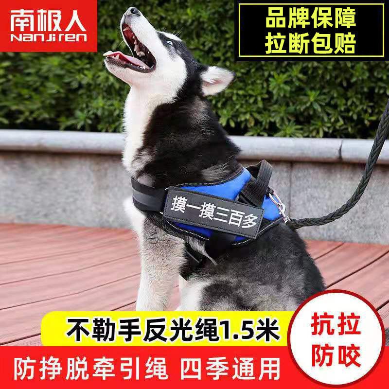南極人狗鏈子狗狗牽引繩遛狗繩金毛泰迪小中大型犬土狗繩寵物用品 蝦皮購物