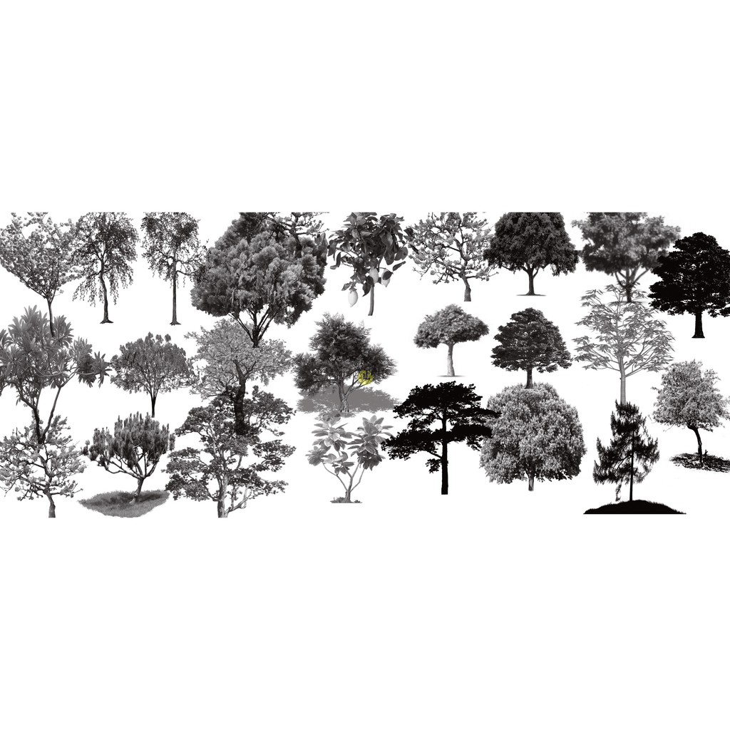 Image of Procreate 筆刷 大師級畫板106款手繪樹木植物喬木園林畫筆R14 #4