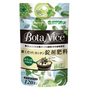 彩葉芋肥料的價格推薦 22年9月 比價比個夠biggo