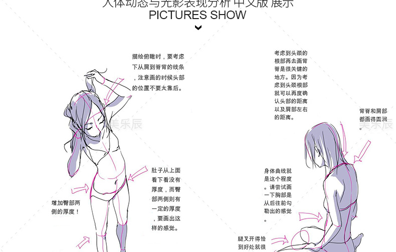 F5 人體動態與光影表現分析線稿教學繪畫姿態漫畫手繪圖片教程 蝦皮購物