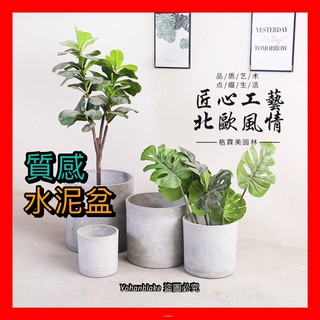 ❤️宅配免運費❤️工廠直銷❤️圓柱款ins水泥花盆 北歐風格落地盆 創意室內庭院綠植盆 綠色植物盆栽