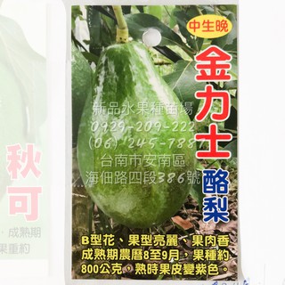 酪梨苗嫁接苗加林一號 黑美人 紅心圓 金力士 厚兒 秋可 哈斯 嘉選二號 三號 四號 章安 十月紅 利得 露拉