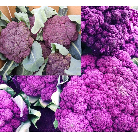 紫色花椰菜的價格推薦 21年12月 比價比個夠biggo
