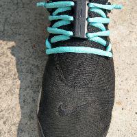 zoo york sb