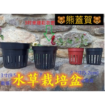 3寸 8 8cm 水草栽培盆水族水草栽培 多肉植物栽培 育苗 蝦皮購物