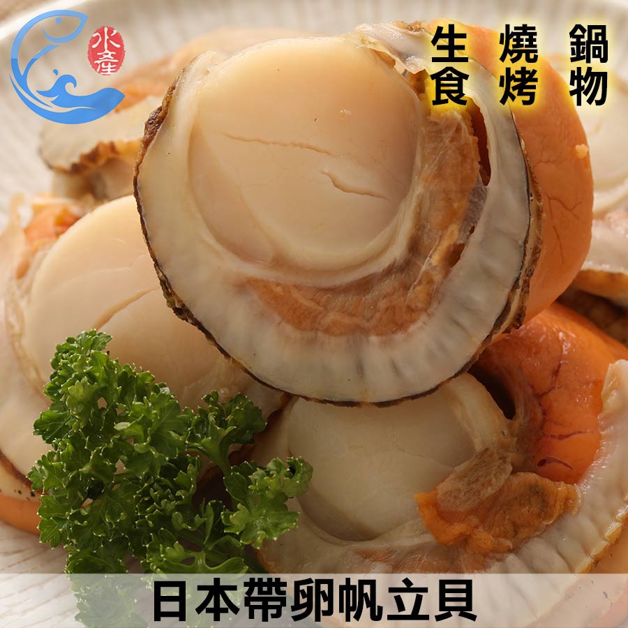 【佐佐鮮】日本帶卵帆立貝_250g±10%/包(約5-6粒/包)