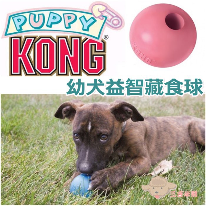 三吉米熊 美國kong Puppy Ball幼犬專用塞食球 抗憂鬱狗狗玩具 狗狗益智玩具s號 蝦皮購物