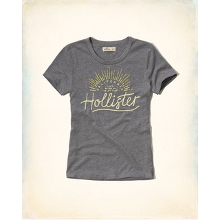 A&F副牌HCO Hollister co.Embroidered Logo Graphic Tee刺繡短T灰