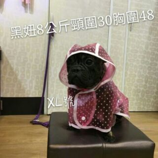 下標前請先詢問庫存圓點透明寵物雨衣狗狗衣服夏裝帶帽雨披泰迪小型犬中型犬雨衣 現貨粉色XL號特價499 熊熊寵物精品