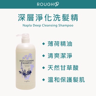 ⎮Rough99⎮ Napla 娜普菈｜深層淨化洗髮精 1000ml 涼感