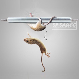福利品出清 滾筒滾輪捕鼠器💯第四代 捕鼠棒貨艙 連續抓 捕鼠神器NF471免老鼠藥 滾筒捕鼠器 老鼠陷阱 捕鼠