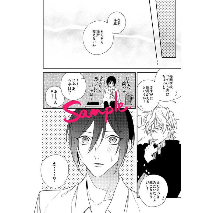 ５冊 ハイキー ローキ 僕を悪い子 来世の君に 最大音量で 灰田ナナコ Bl Www Studiolegaleballati It