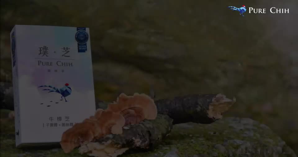 【質璞創新生技】【璞芝 牛樟芝60顆/盒 六盒組】國際大獎_台灣芝光_全球唯一國際品質大獎牛樟芝 提升保護力