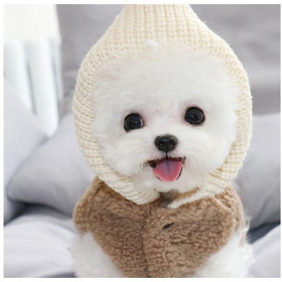 秋冬加厚保暖寵物棉衣泰迪比熊博美雪納瑞貴賓小型犬幼犬狗狗衣服 蝦皮購物