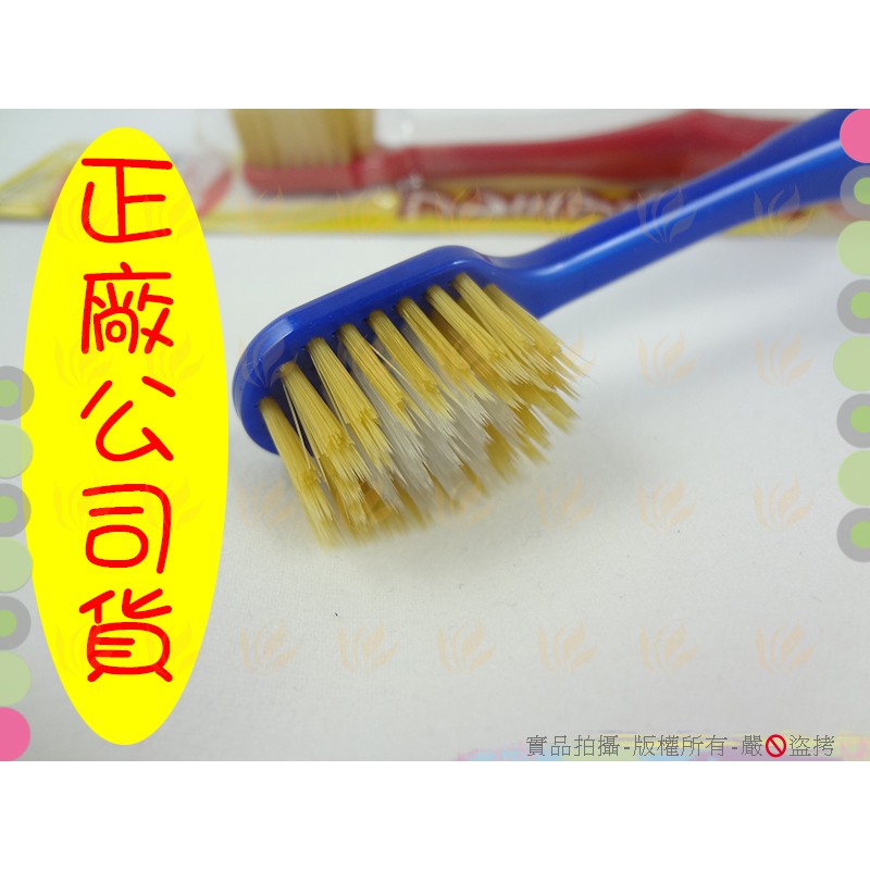 用過才推薦 3支入日本製Ebisu6排加寬內硬外軟2種超細毛牙刷◆軟硬適中/軟毛牙刷/牙周病適用【喬田】
