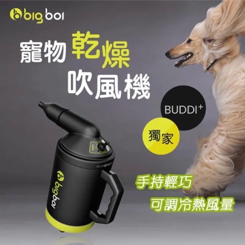 送空濾套件【澳洲 bigboi 】BUDDI Plus+ 手持寵物乾燥吹水機 乾燥吹風機bigboi BUDDI 三毛吉