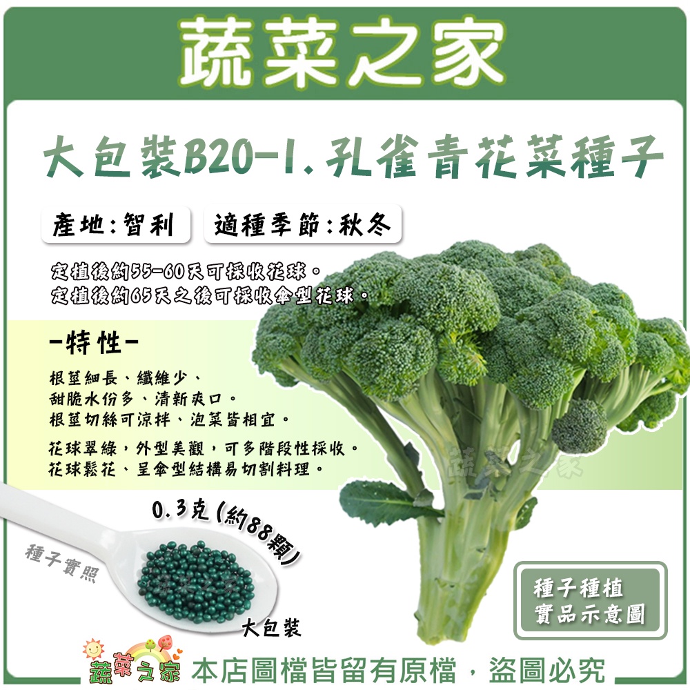 青花菜種子 優惠推薦 22年11月 蝦皮購物台灣