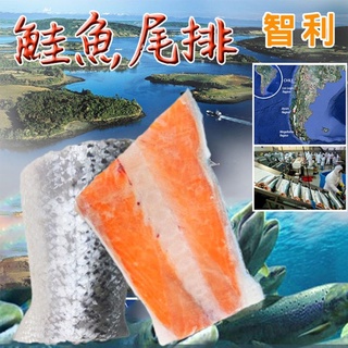 【海之醇】智利鮭魚尾排300g