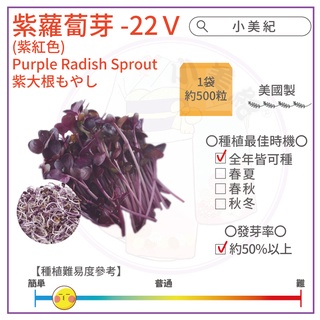 小美紀 優質種子 園藝植作 苜蓿紫蘿蔔芽小番茄波斯菊向日葵花苗土壤種植盆栽種花花架介質花卉肥料 蝦皮購物