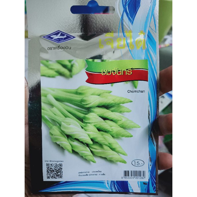 Hạt Giống Rau Chomchan Thai 夜花蕃薯藤 蝦皮購物