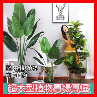 宅配免運費🌳專業景觀超大型植物🌳北歐仿真植物 旅人蕉 龜背葉 琴葉榕 散尾葵大型模擬盆景室內設計 客廳裝飾 庭園造景