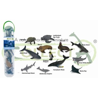 海洋動物模型 CollectA 1107 迷你海洋動物筒 小動物禮盒
