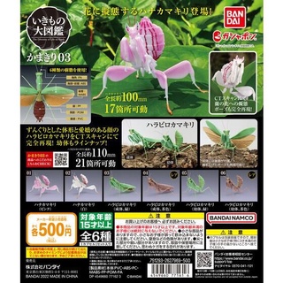 🔥現貨 螳螂 P3 環保扭蛋 蘭花螳螂 昆蟲 扭蛋 公仔 模型