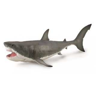 「芃芃玩具」COLLECTA 動物模型 恐龍模型 R88887 巨齒鯊1:40 仿真 教材 教學 貨號88887