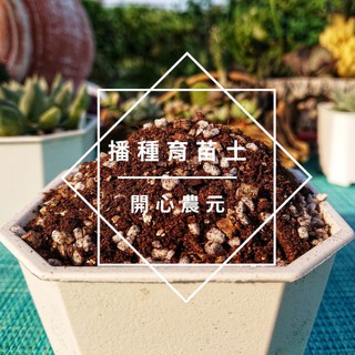 高雄多肉培養土的價格推薦 21年7月 比價撿便宜