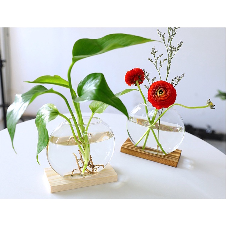 巨路生活 透明花瓶水培花瓶桌上型花瓶木座工藝水根植物玻璃花瓶客廳家居裝飾 蝦皮購物