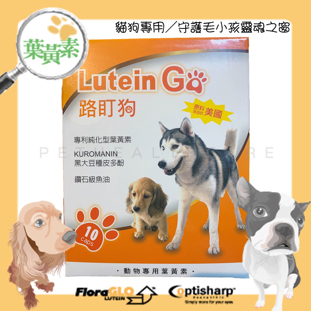 下單送寵物零食 貓狗保健 公司貨免運費 路盯狗lutein Go游離型葉黃素 寵物保健 寵物葉黃素 魚油 白內障 蝦皮購物