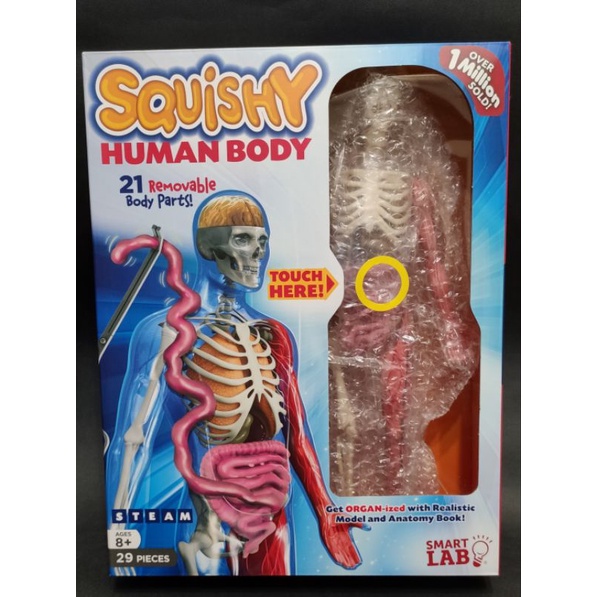 STEAM SmartLab - Squishy Human Body 人體透視模型 /人體模型教具