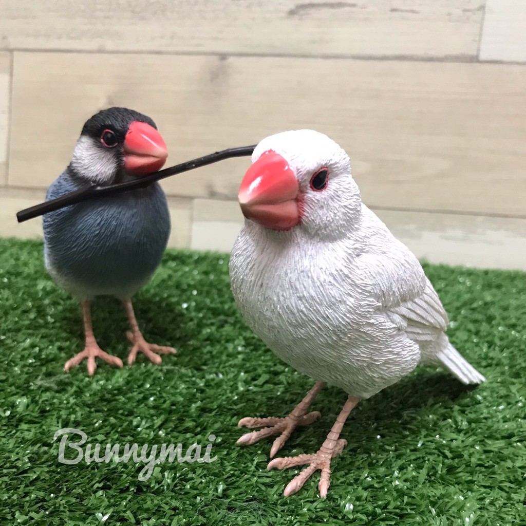 Bunny麥 代購 日本連線文鳥白文鳥黑文鳥擺飾吸鐵 蝦皮購物