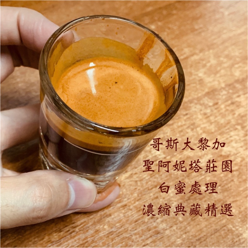 [Handmade Coffee] 哥斯大黎加 聖阿妮塔莊園 濃縮典藏 白蜜處理 中焙