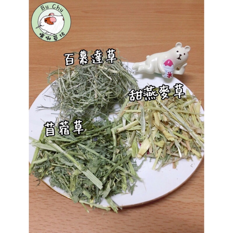 高仿錶萌兔坊 紫花苜蓿草 烘乾式牧草 苜蓿草 I Position 優惠推薦 21年10月 蝦皮購物台灣