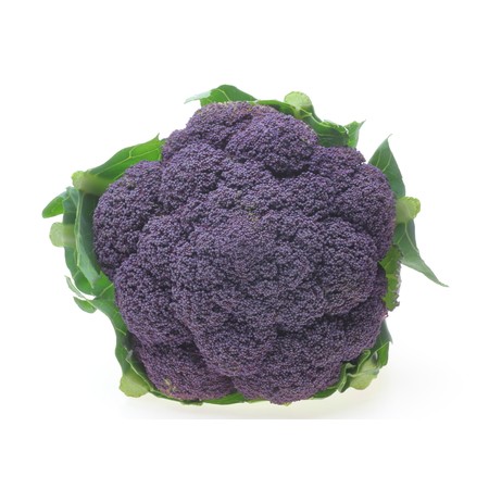 紫花椰菜種子~Cauliflower