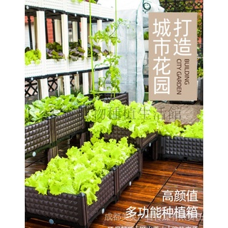 耐用30年 日本食品級材料 家庭陽臺種菜箱 長方形加厚塑膠種植槽 樓頂花盆種菜神器 蔬菜種植箱 FDJT*-&-