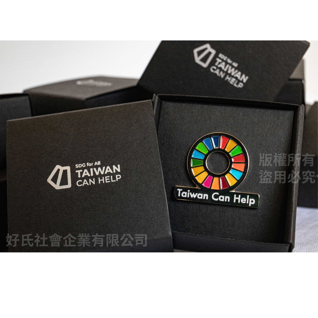 Sdgs徽章 Taiwan Can Help 別針 送禮自用兩相宜 蝦皮購物