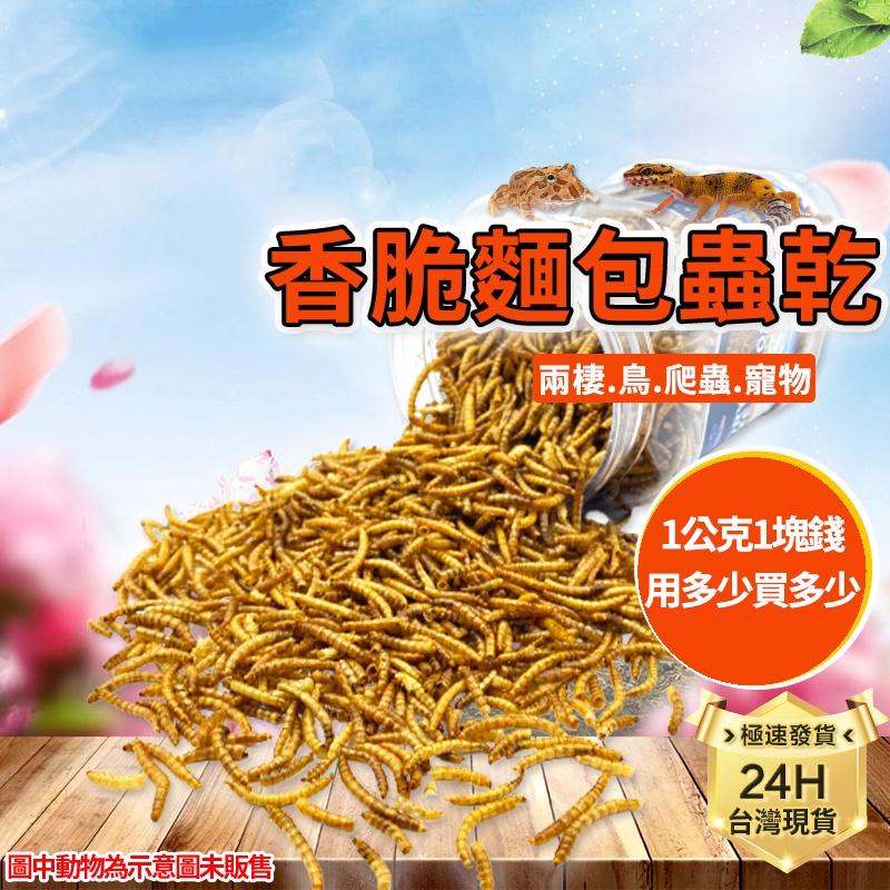 PJ小舖｜麵包蟲乾 兩棲爬蟲 高蛋白飼料 澤龜 守宮 鬆獅蜥蜴 澤水烏陸龜蜜袋鼯刺蝟倉鼠鬆獅鳥鸚鵡水族龍魚柯爾鴨