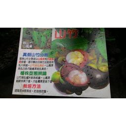 花囍園_水果苗--泰國山竹(嫁)--熱帶果后~也稱倒捻子或莽吉柿/4.5吋高約15-30cm/特價5600