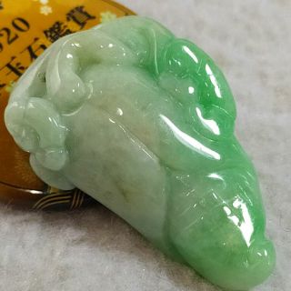 🌽金玉滿堂🌽天然緬甸玉 A貨 翡翠 飄果綠花 精雕 玉米 翡翠玉米 現貨特價 jade 遇見善緣