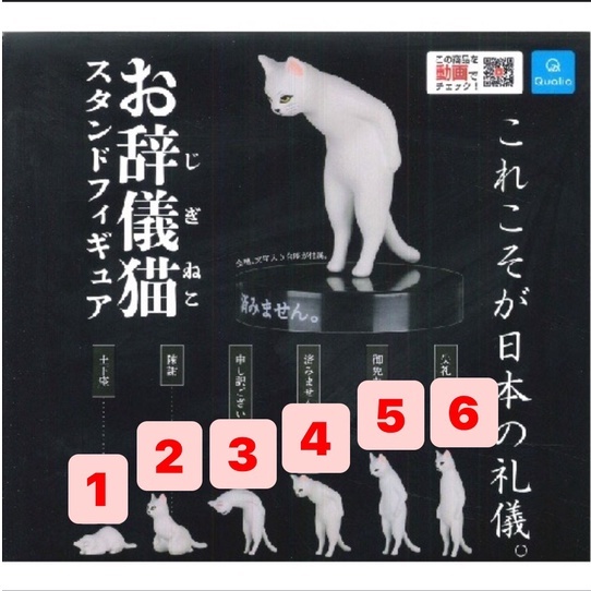 Mumutoys 現貨qualia 鞠躬行禮的貓公仔鞠躬敬禮禮儀貓趴著土下座轉蛋扭蛋全6款 蝦皮購物