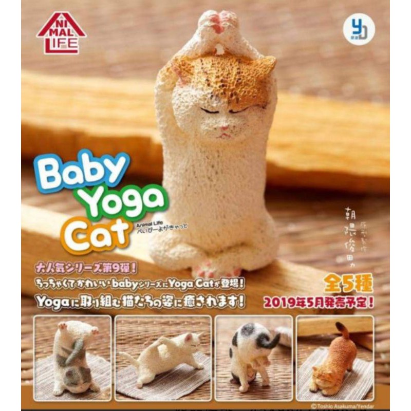 全新 朝隈俊男 Animal Life Baby Yoga Cat 貓瑜珈寶寶 公仔扭蛋