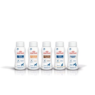 🏥醫院直營🏥法國皇家《犬/貓ICU》237ml/1瓶 犬腎臟、腸胃道低脂、腸胃道高能量、貓腎臟、重症營養補給配方