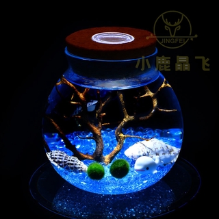 木塞玻璃瓶 微景觀生態瓶 帶燈玻璃瓶花瓶 軟木塞密封罐 苔蘚植物瓶綠藻球養殖海洋瓶漂流瓶 茶葉罐乾果罐食物保鮮瓶