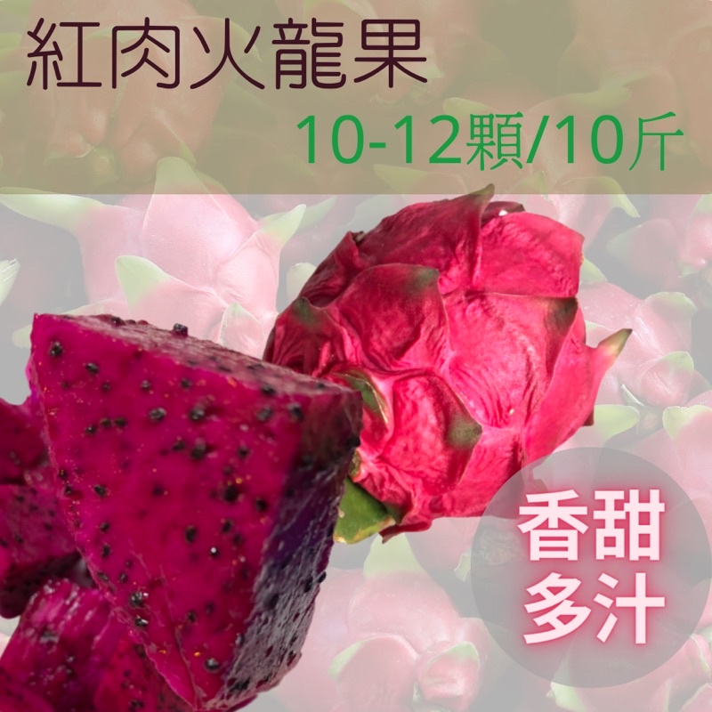 【產地直送】南投紅肉火龍果(每箱10-12入/約10斤)