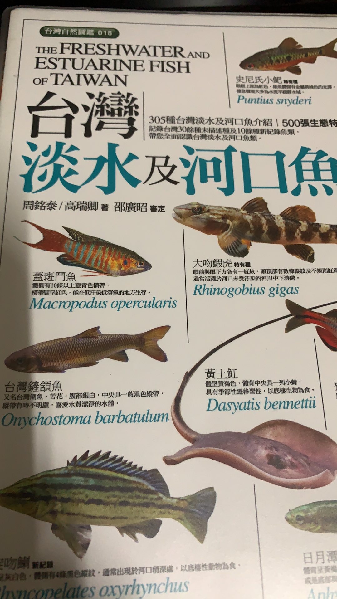 全新書 臺灣淡水及河口魚蝦圖鑑周銘泰 高瑞卿 著晨星出版 蝦皮購物