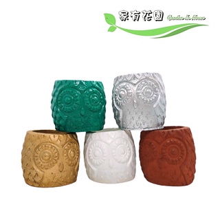 貓頭鷹花器 比價撿便宜 優惠與推薦 22年5月